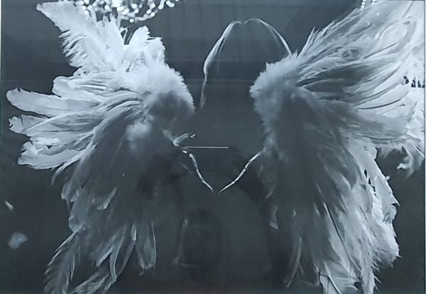 Victoria Secret Angel Wings